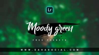 Photo of Moody Green Tone Lightroom Presets Free Download