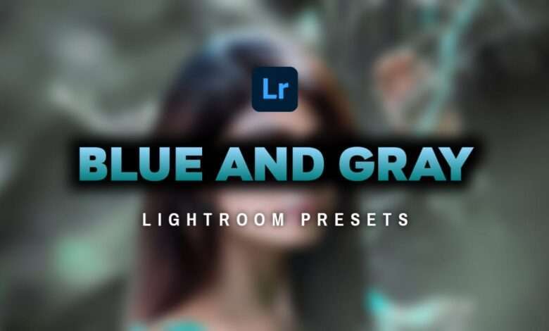 Lightroom presets free Download