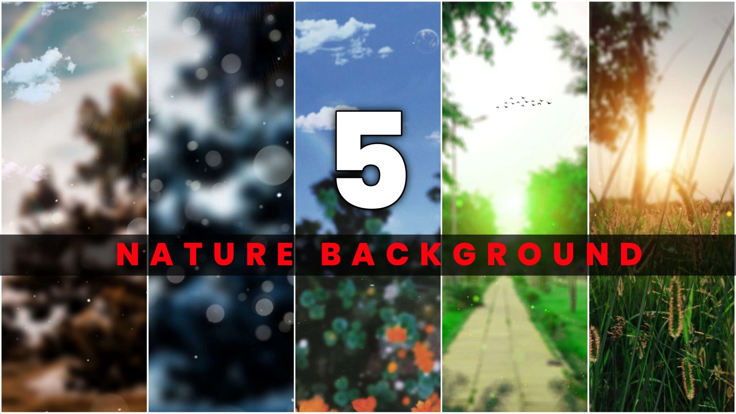 5 Nature Background In Hd | Download Hd Nature Background