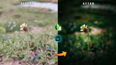 Photo of Instagram Viral Photography Editing Using Lightroom cc And Snapseed