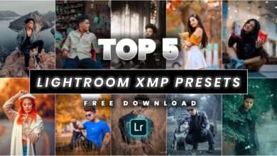 Photo of Download Top 5 Lightroom Xmp Presets Free Download