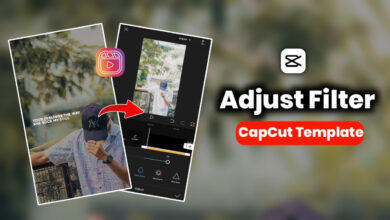 Photo of Adjust Filter CapCut Template Link 2023 | CapCut Template