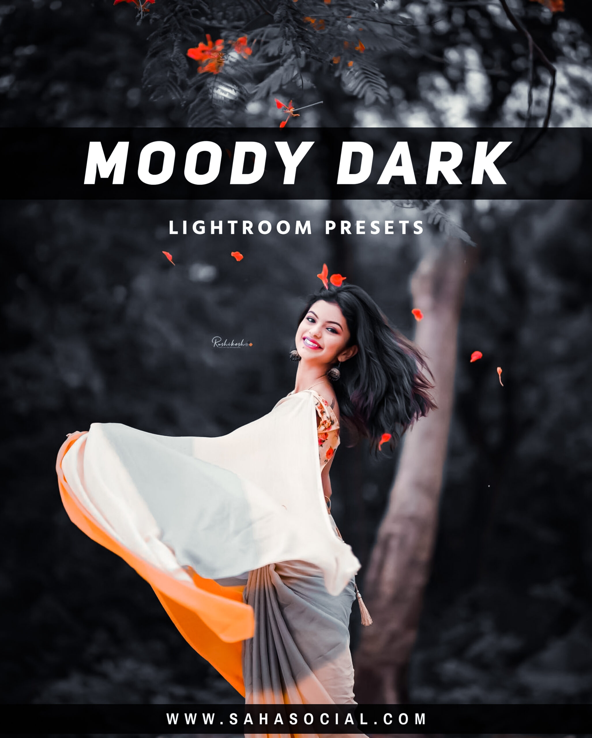 Moody dark lr Presets Free Download 