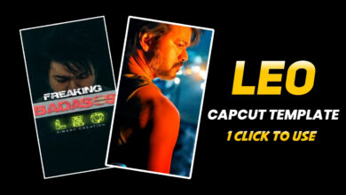 Photo of Leo CapCut Template Link 2023 | CapCut Template