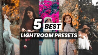 Photo of 5 Best Lightroom Mobile Presets free Download 2024