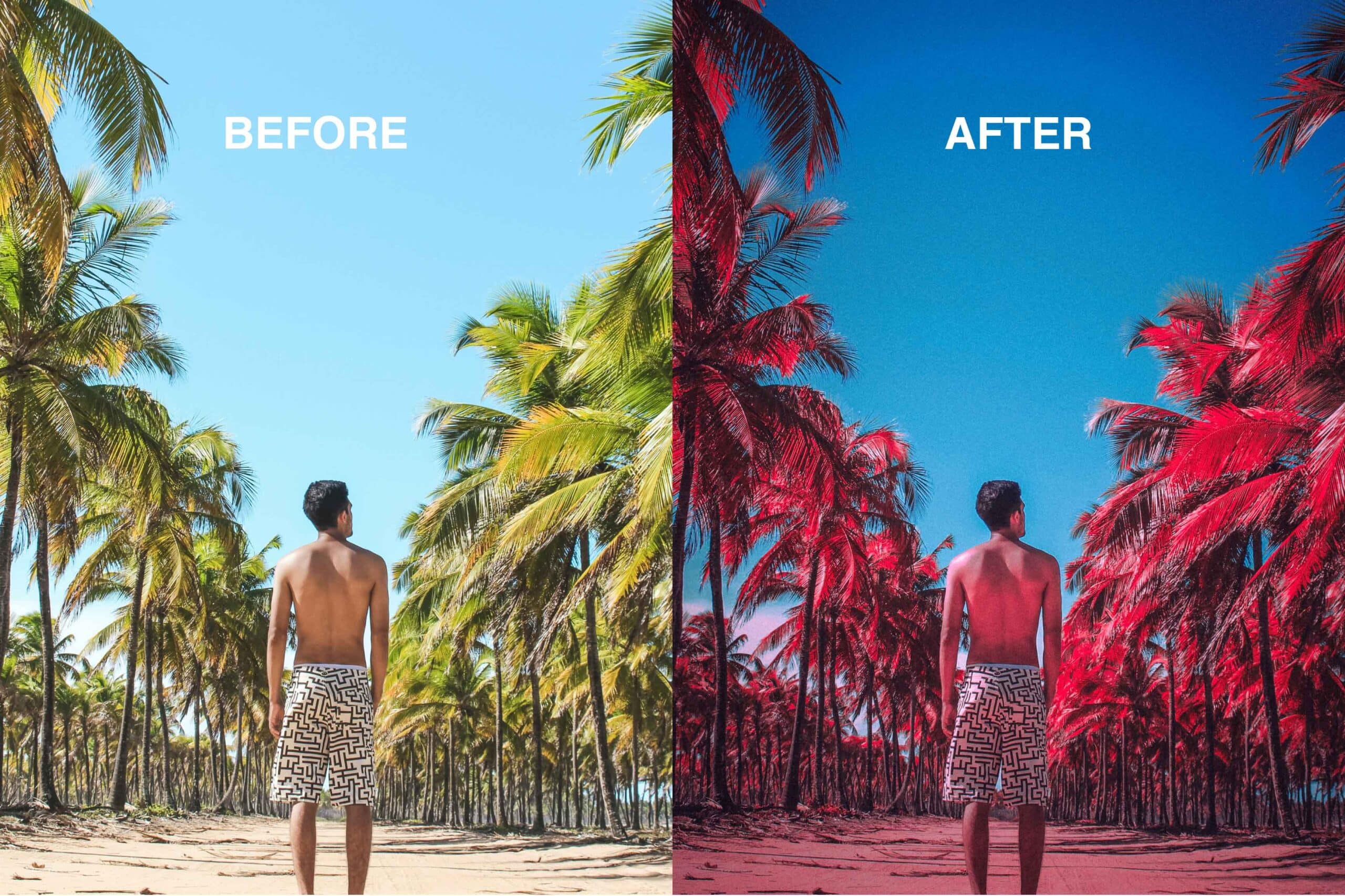 Kodak Aerochrome Lightroom Presets Rni