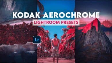 Photo of Kodak Aerochrome Lightroom Preset Free Download RNI